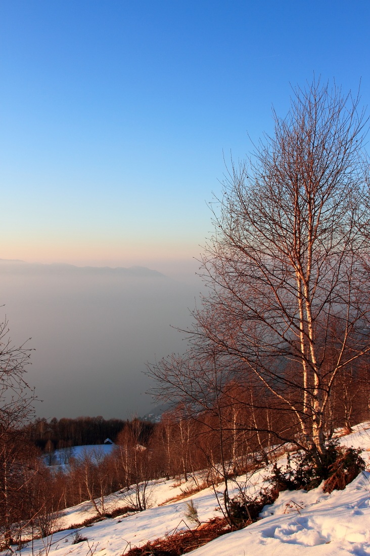 Alba sul M.te Carza - VCO...