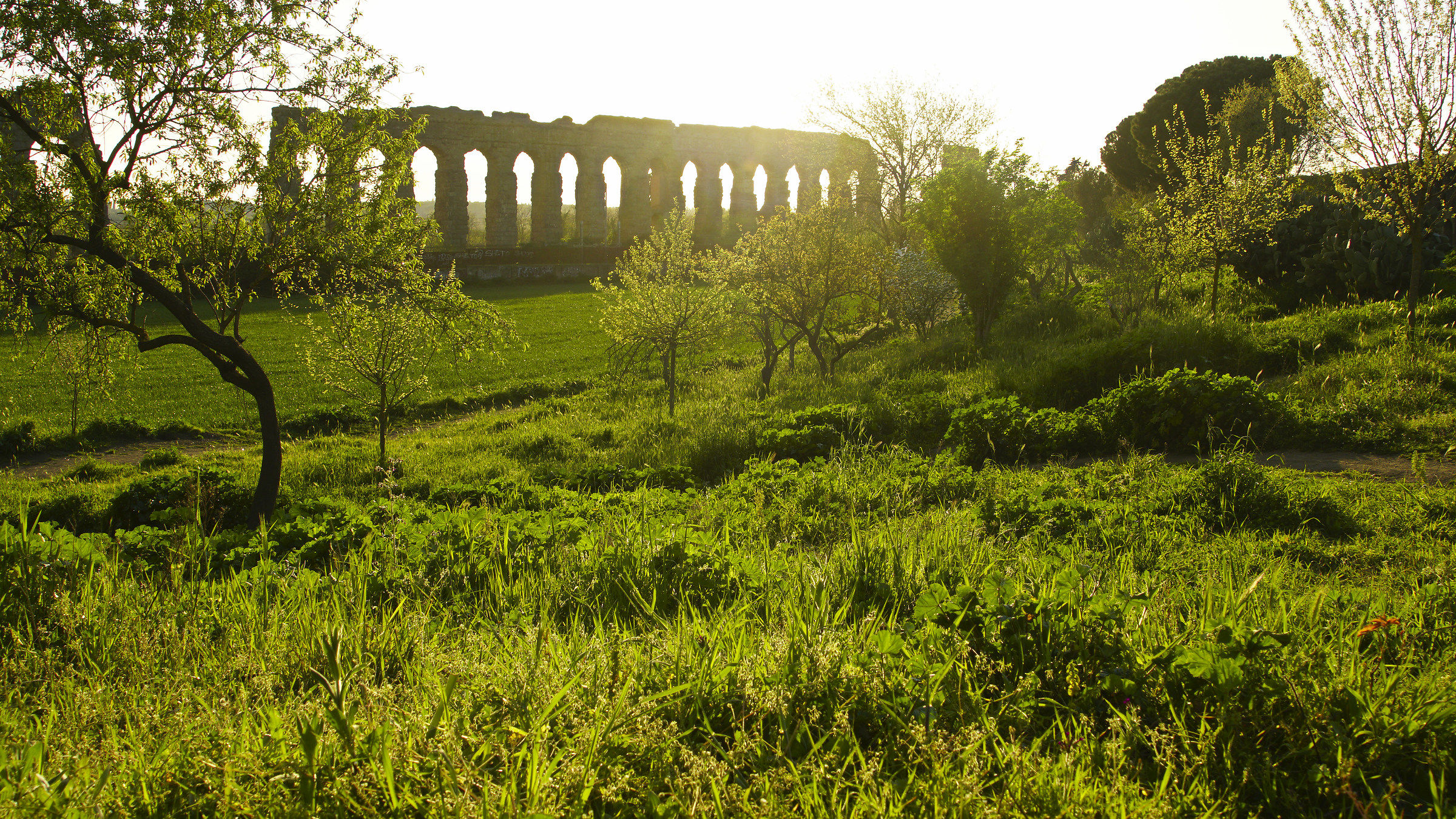 Park of the aqueducts Rome...