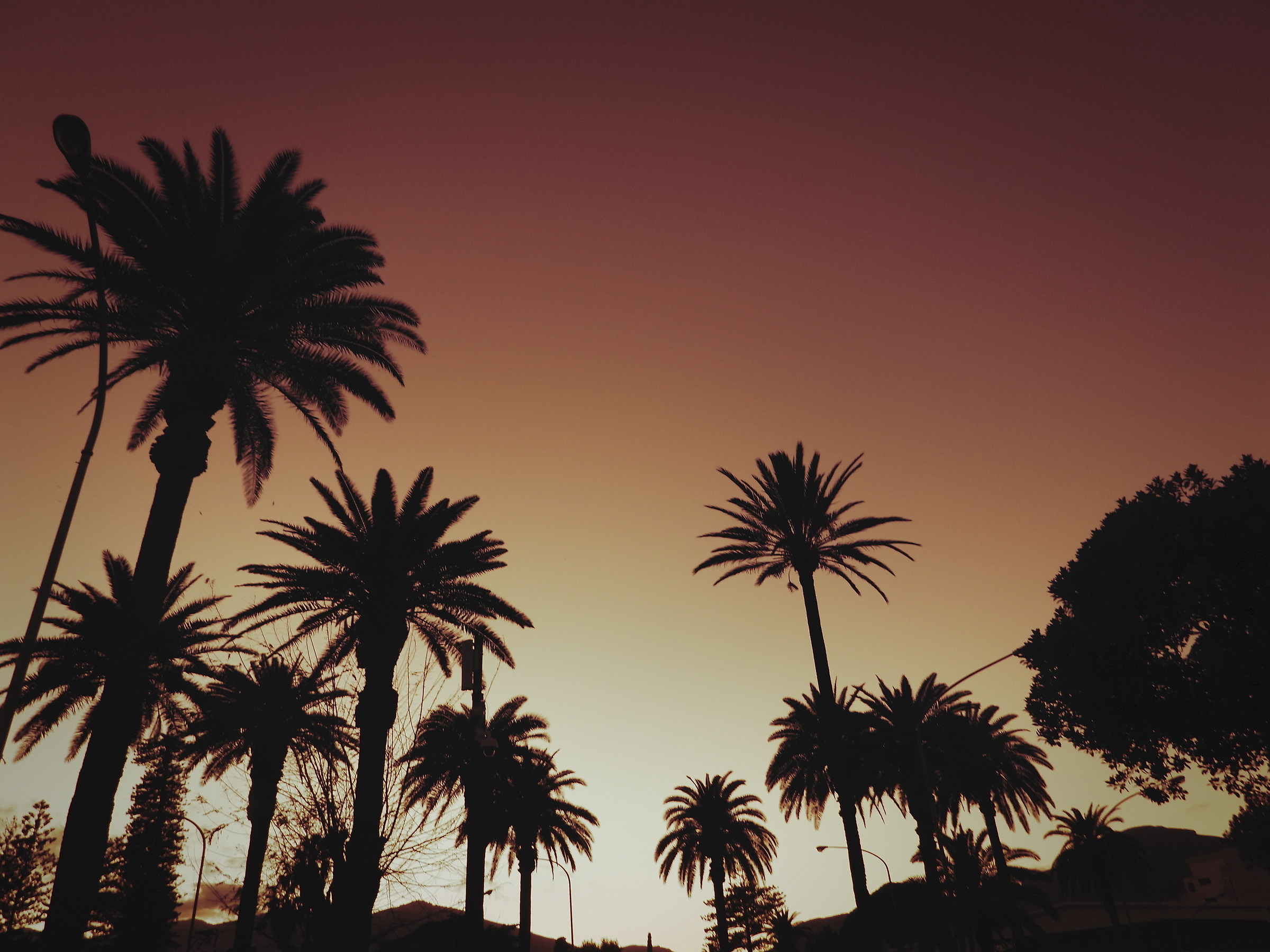 Palermosangeles Beach...