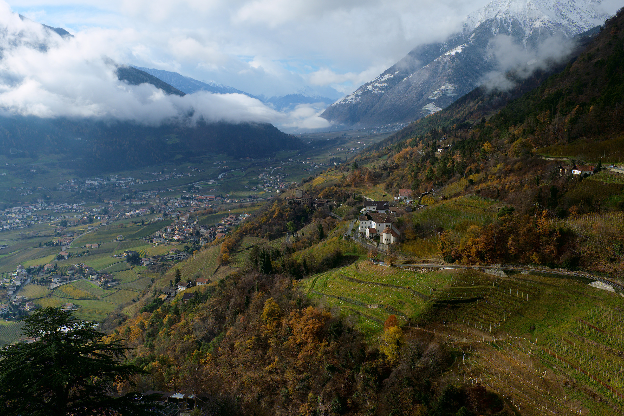 Panorama from Castel Tirol...