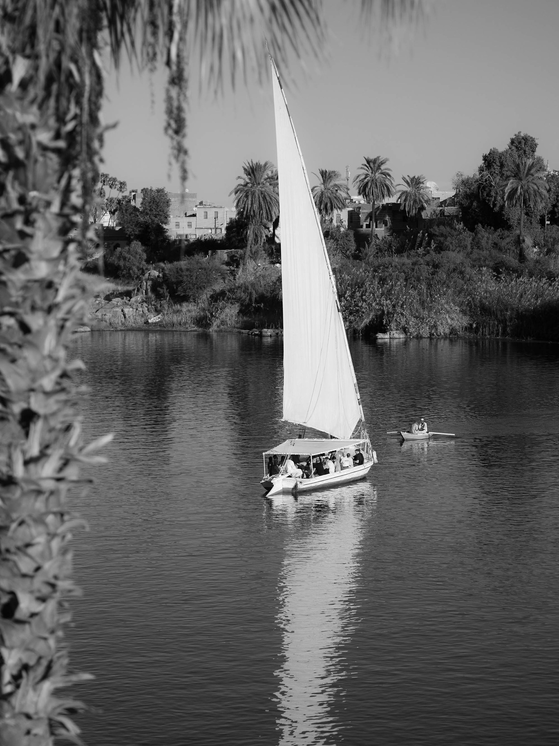 On Nile 3...