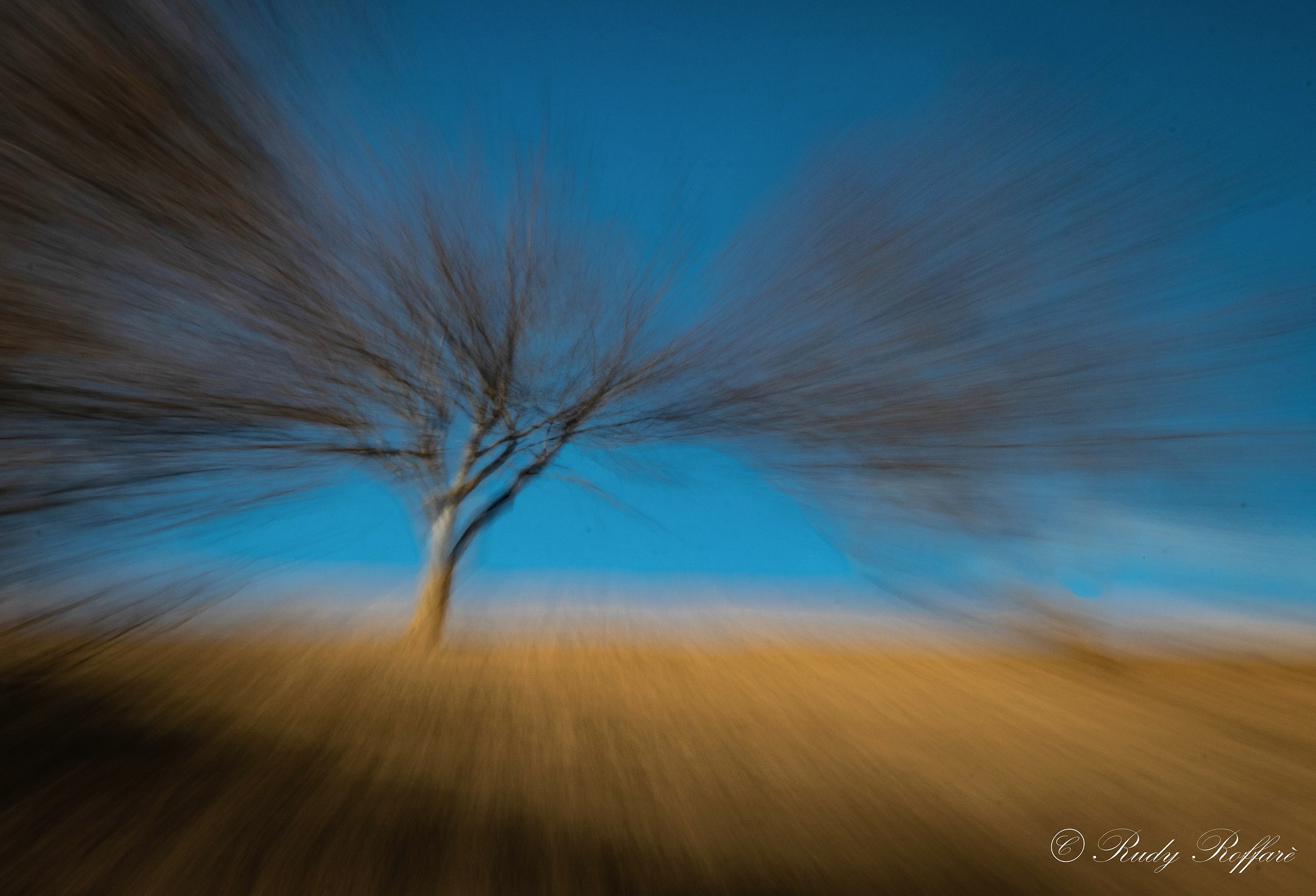 verso il futuro...