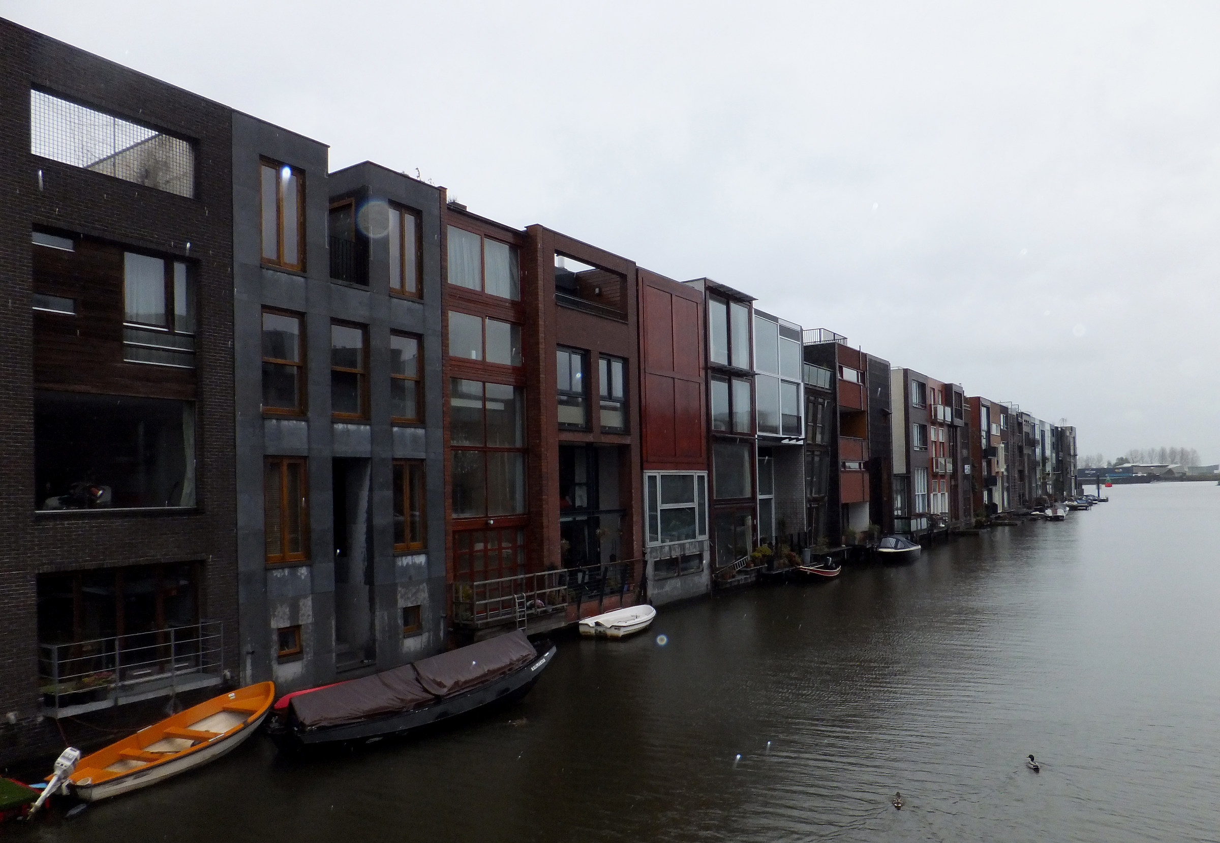 Borneo Amsterdam...