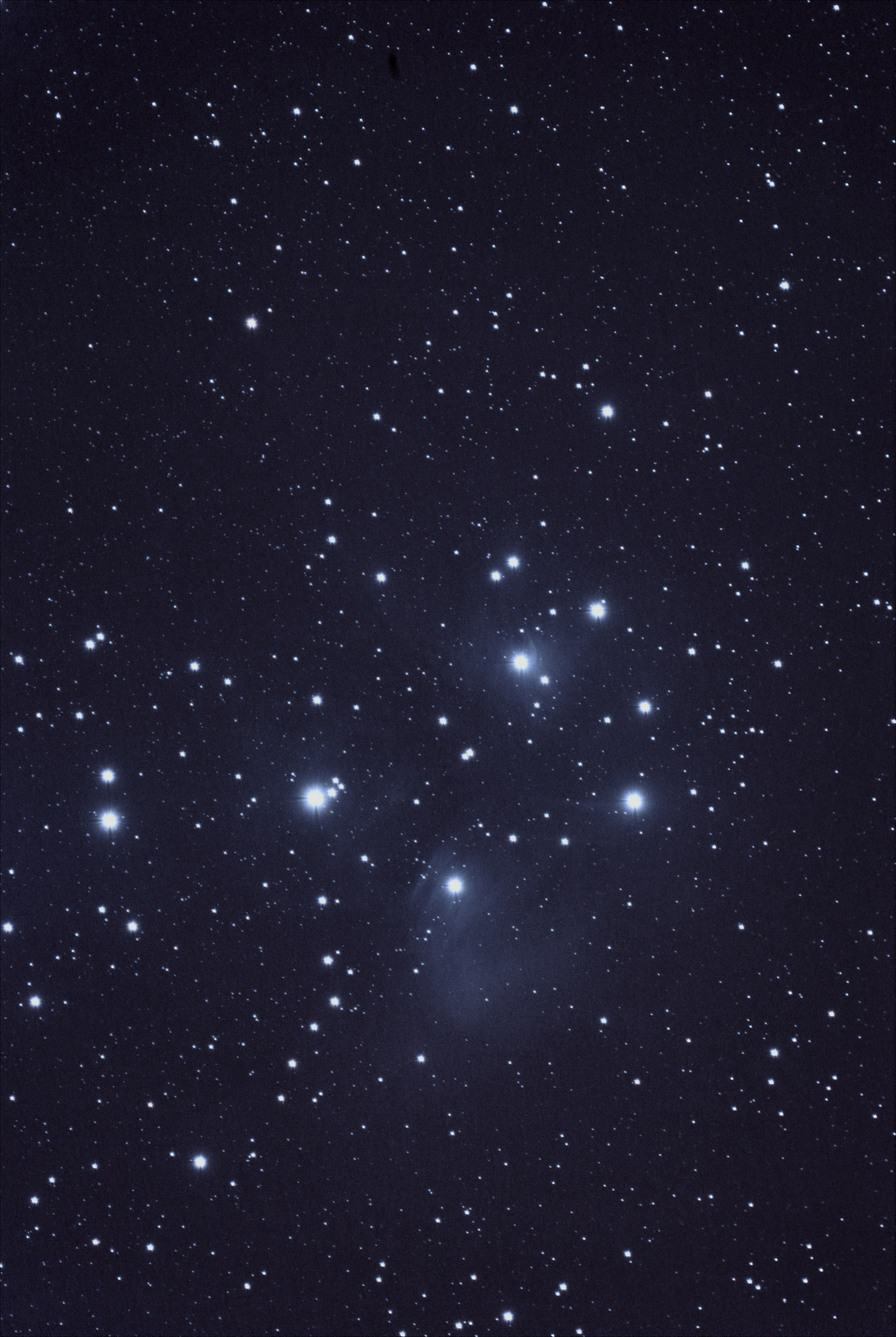 Pleiadi Messier 45...