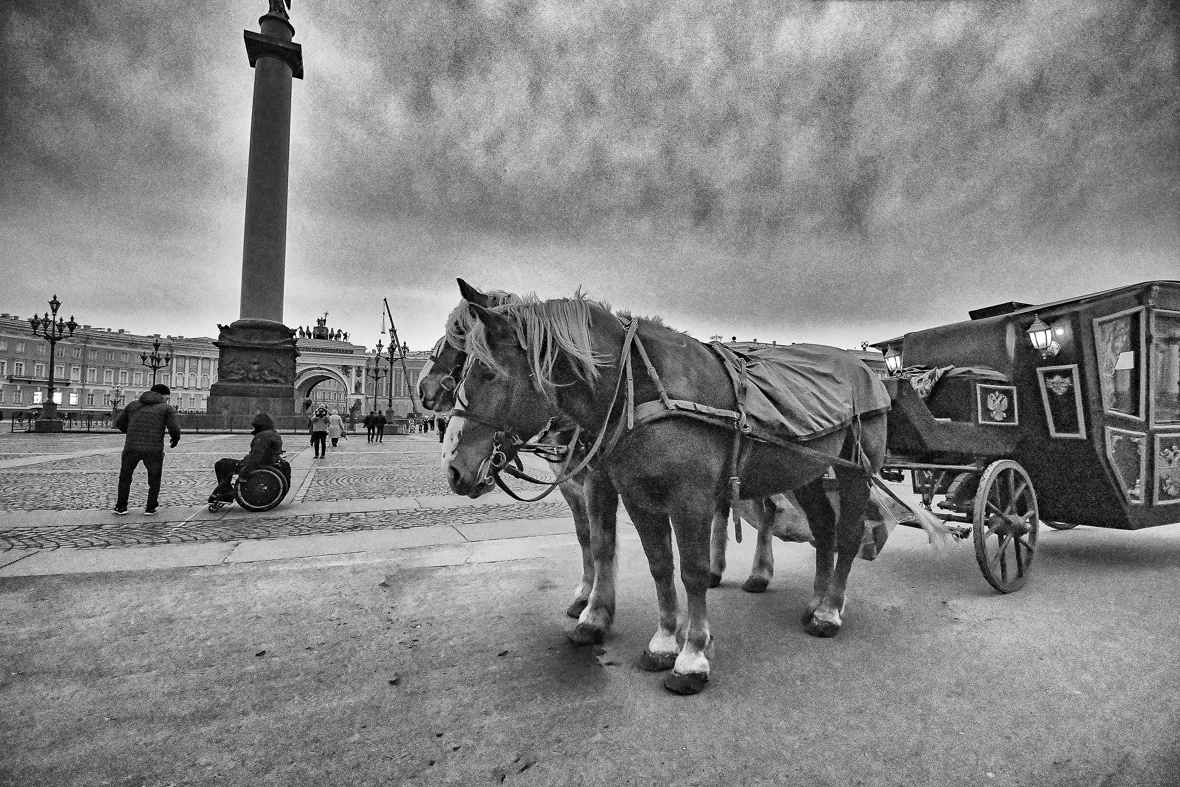 Russian carriage _ The Hermitage Square...