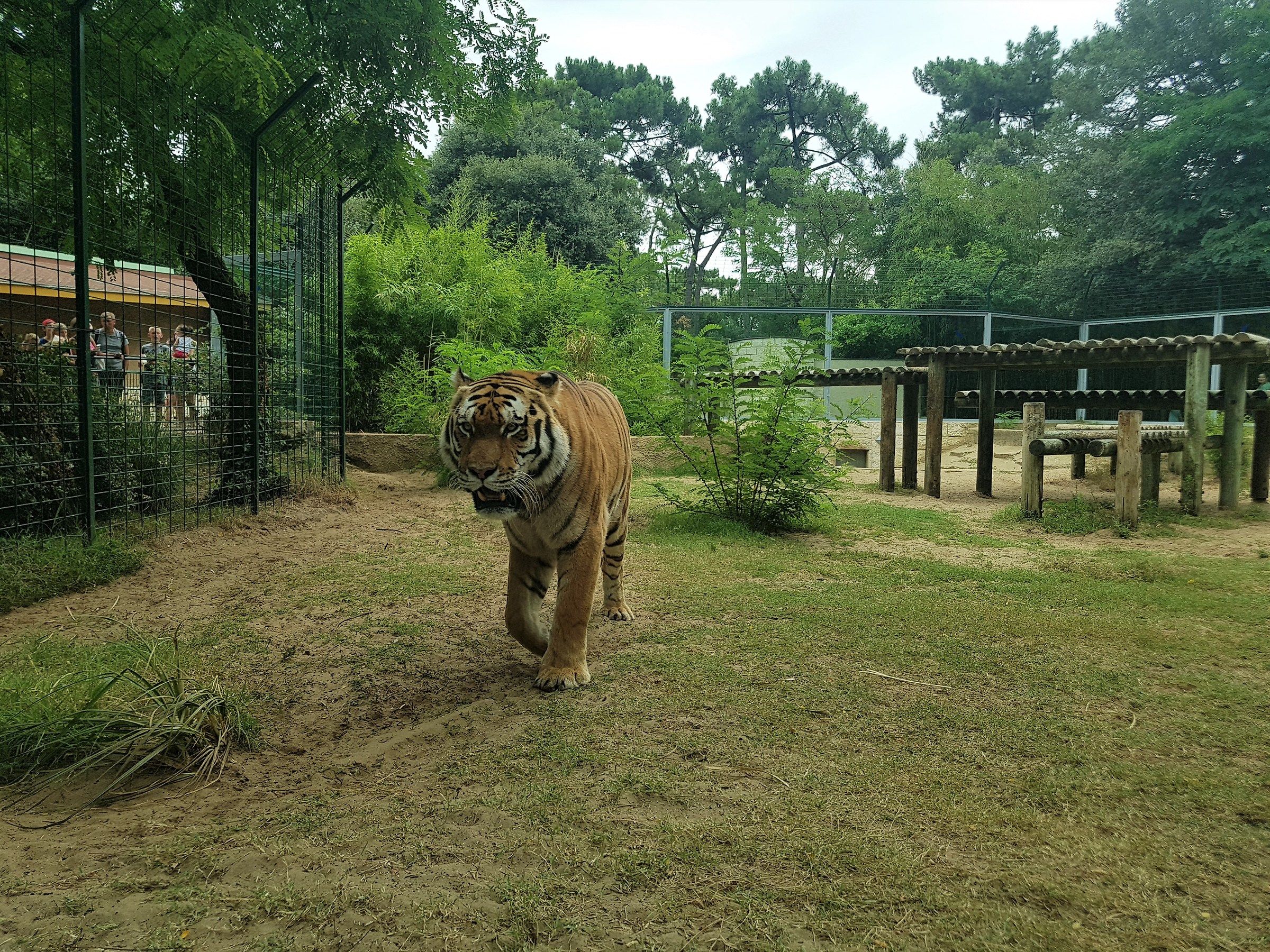 La Palmyre Zoo...