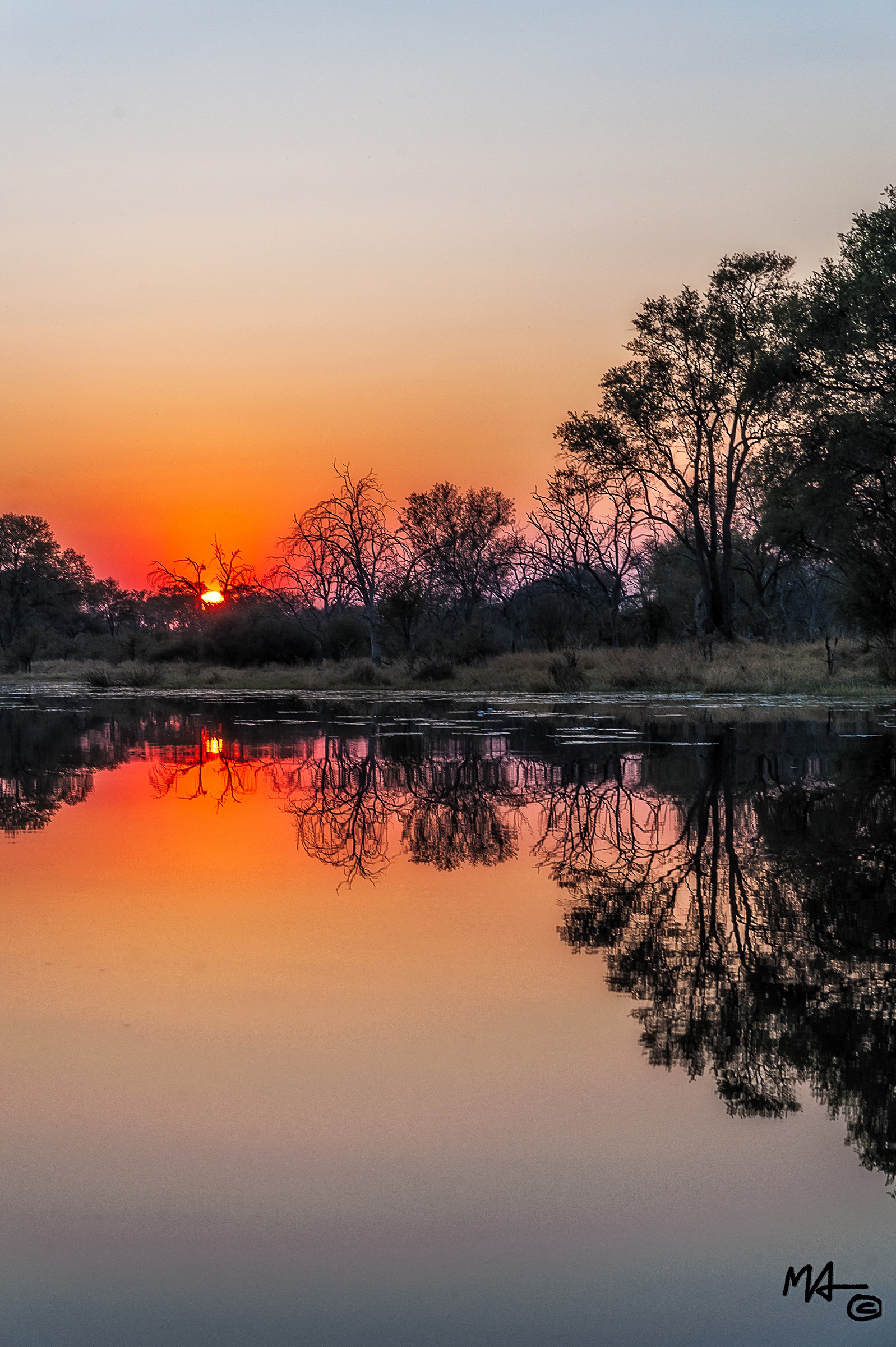 Okavango reflections...