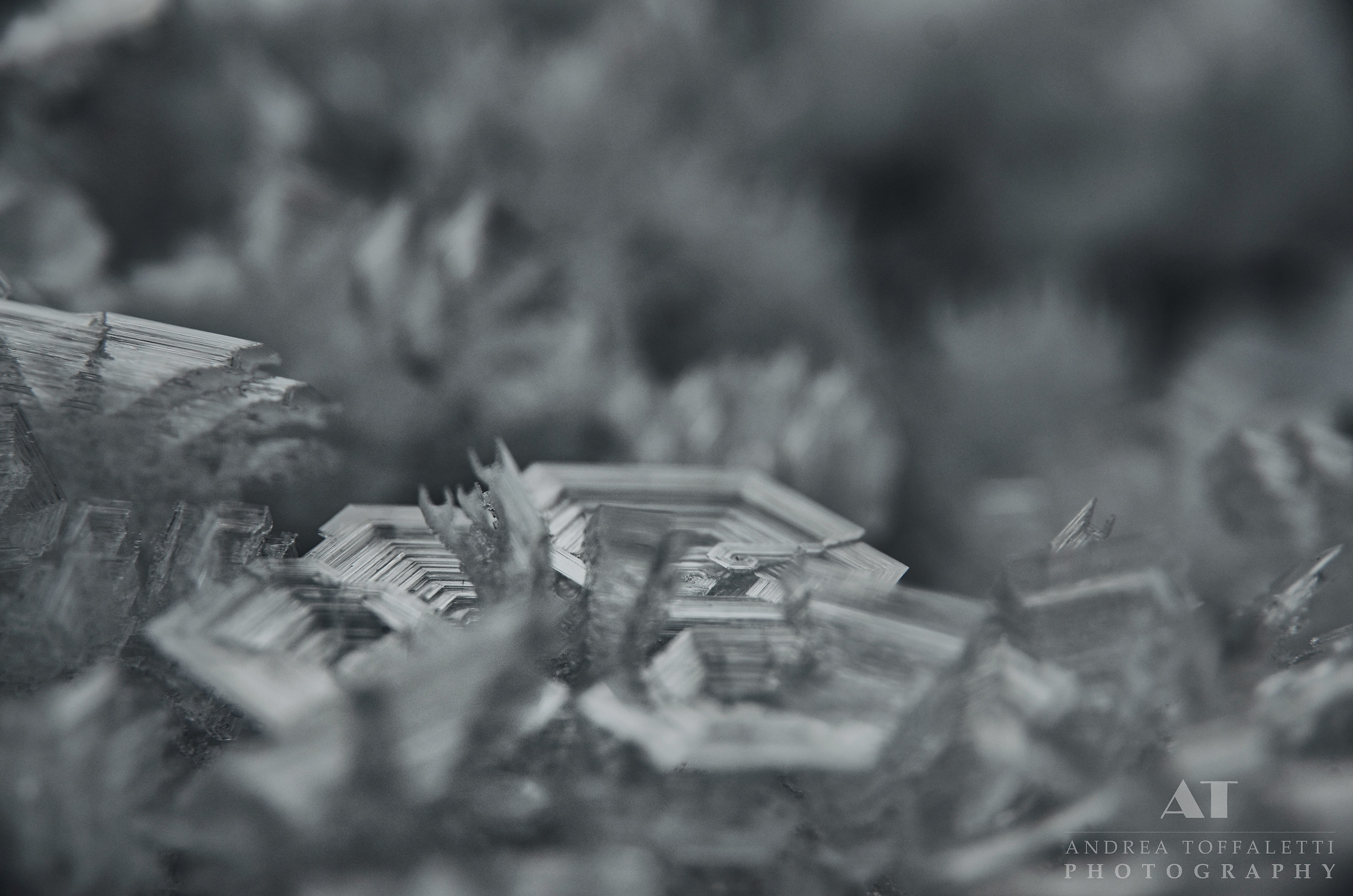 The Frost Geometry 2...