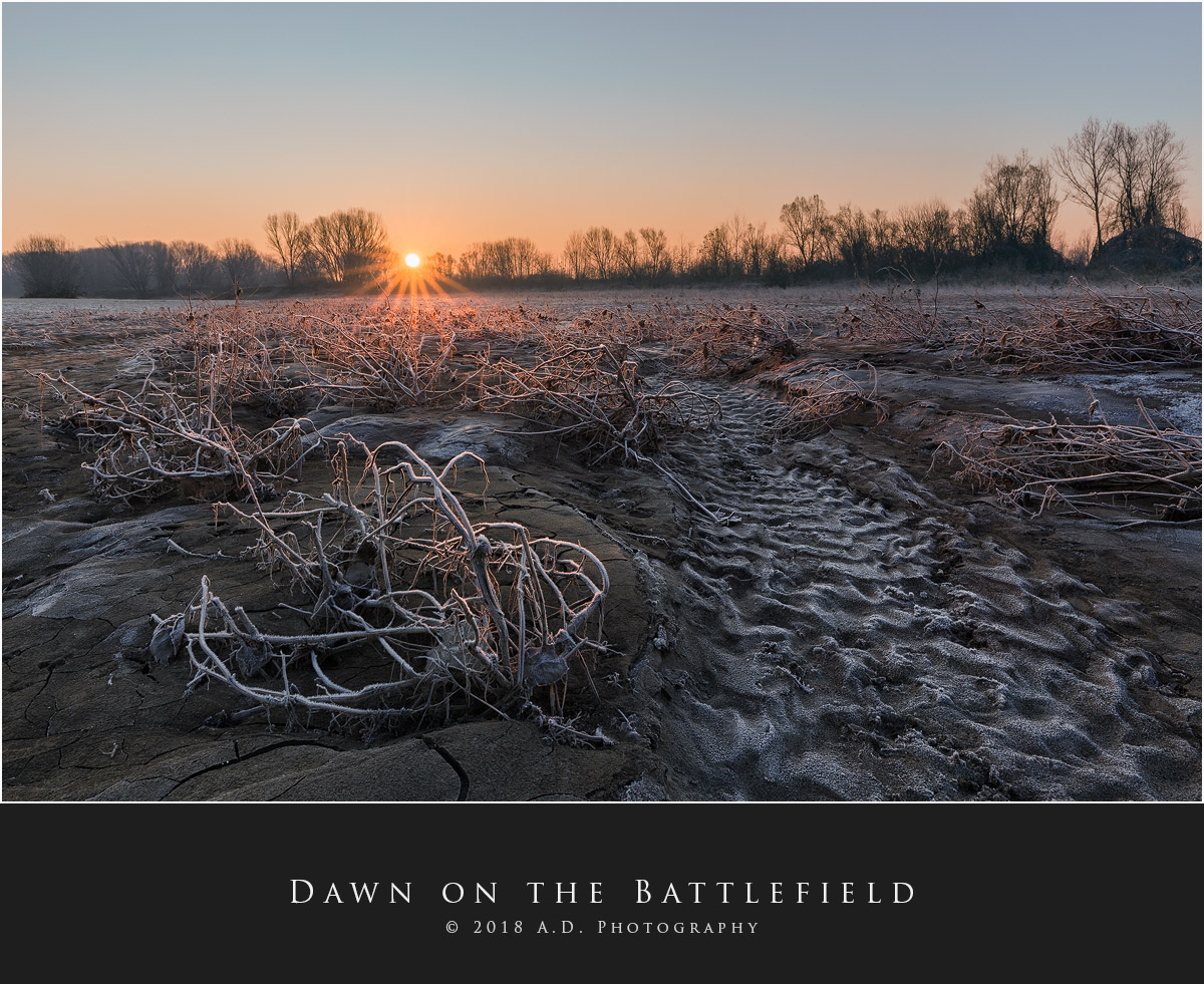 Dawn on the Battlefield...