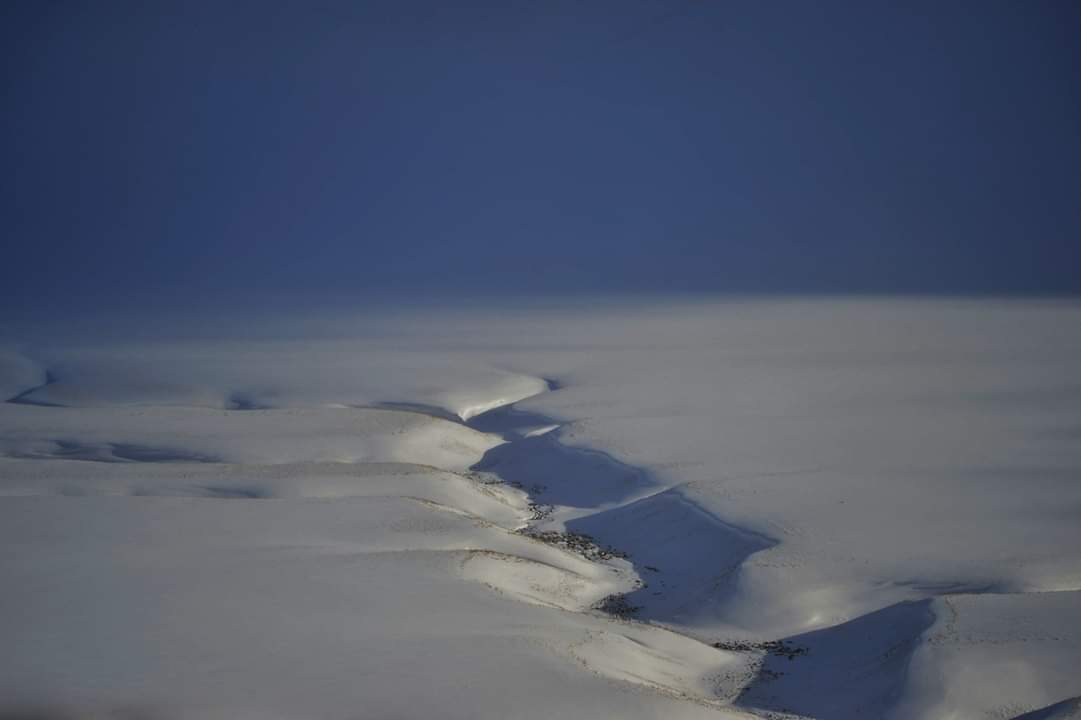 Mergani in the Snow Castelluccio...