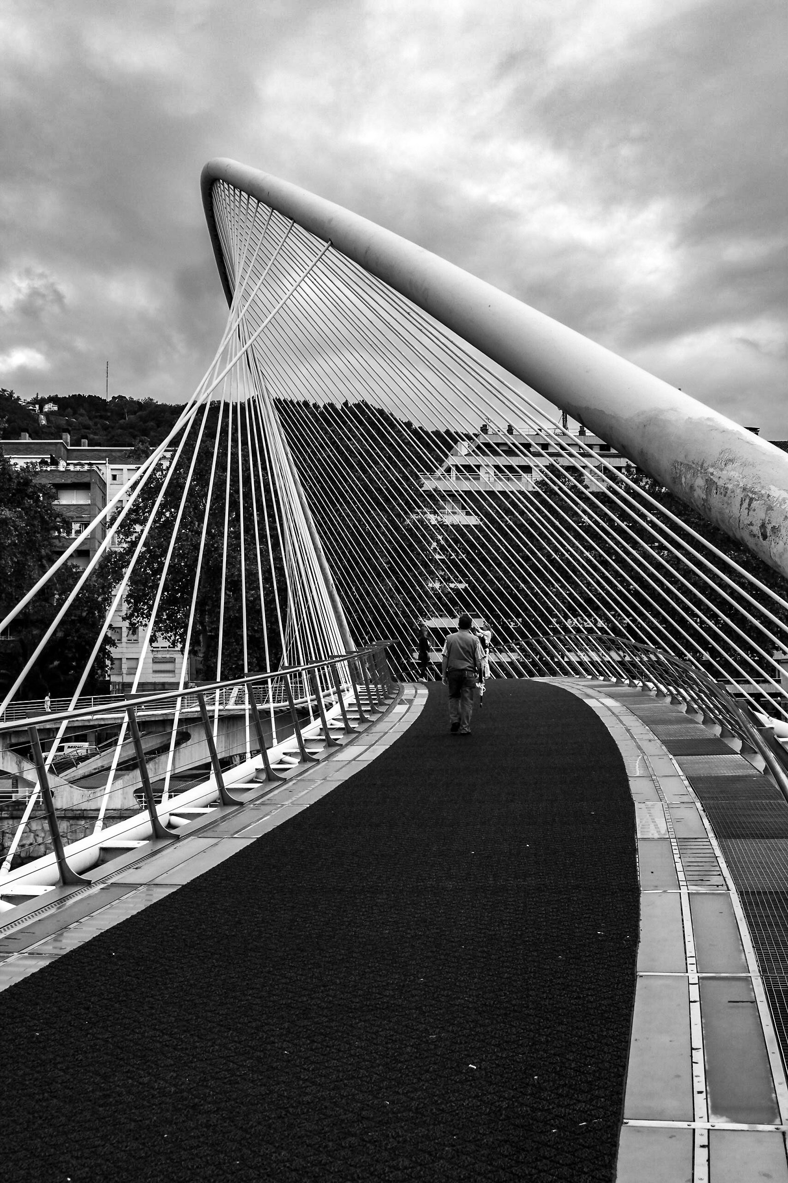 Zubizuri - Calatrava - Bizkaia - Bilbao 2015...