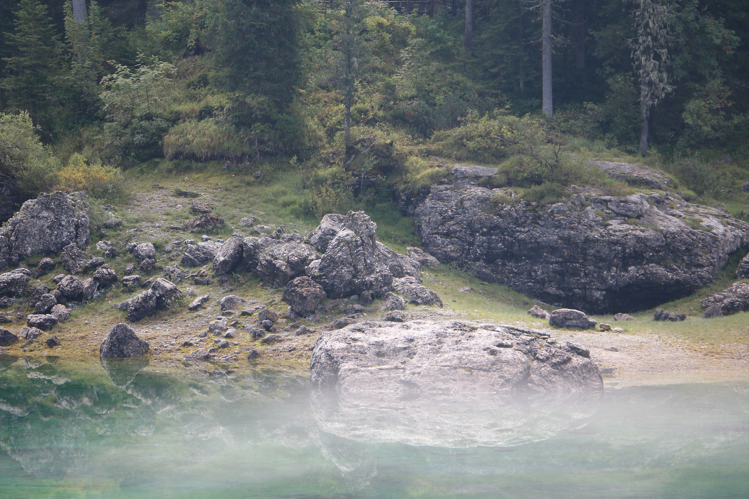 Carezza nella nebbia...