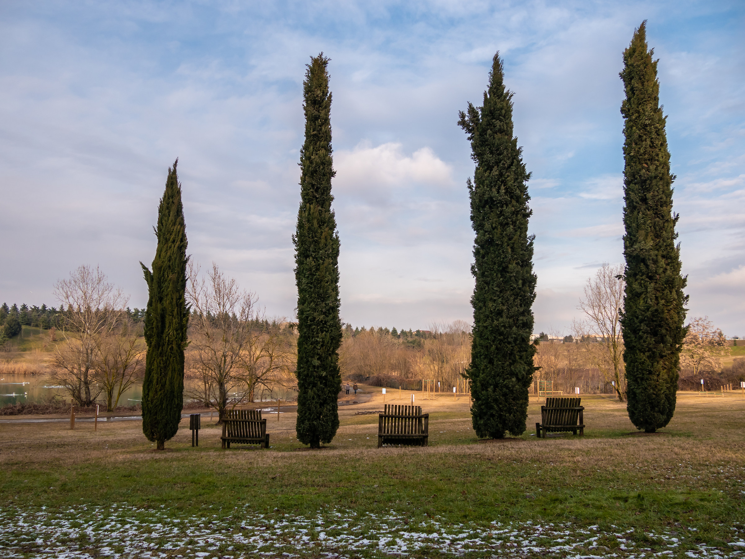 Parco lago nord - Paderno Dugnano...
