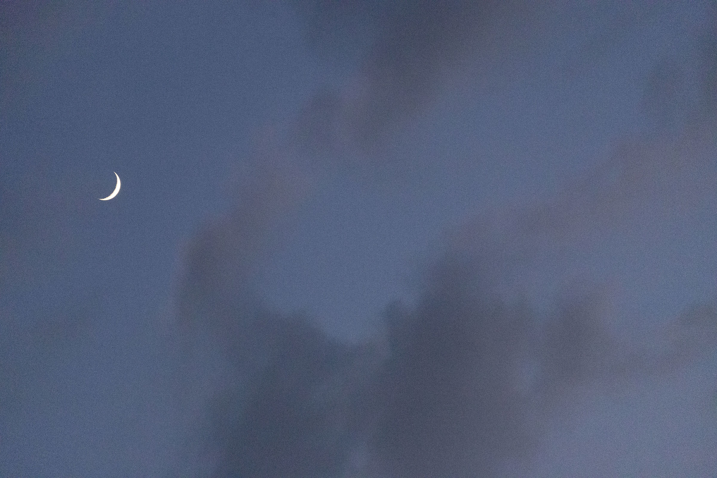 Luna Sognatrice...