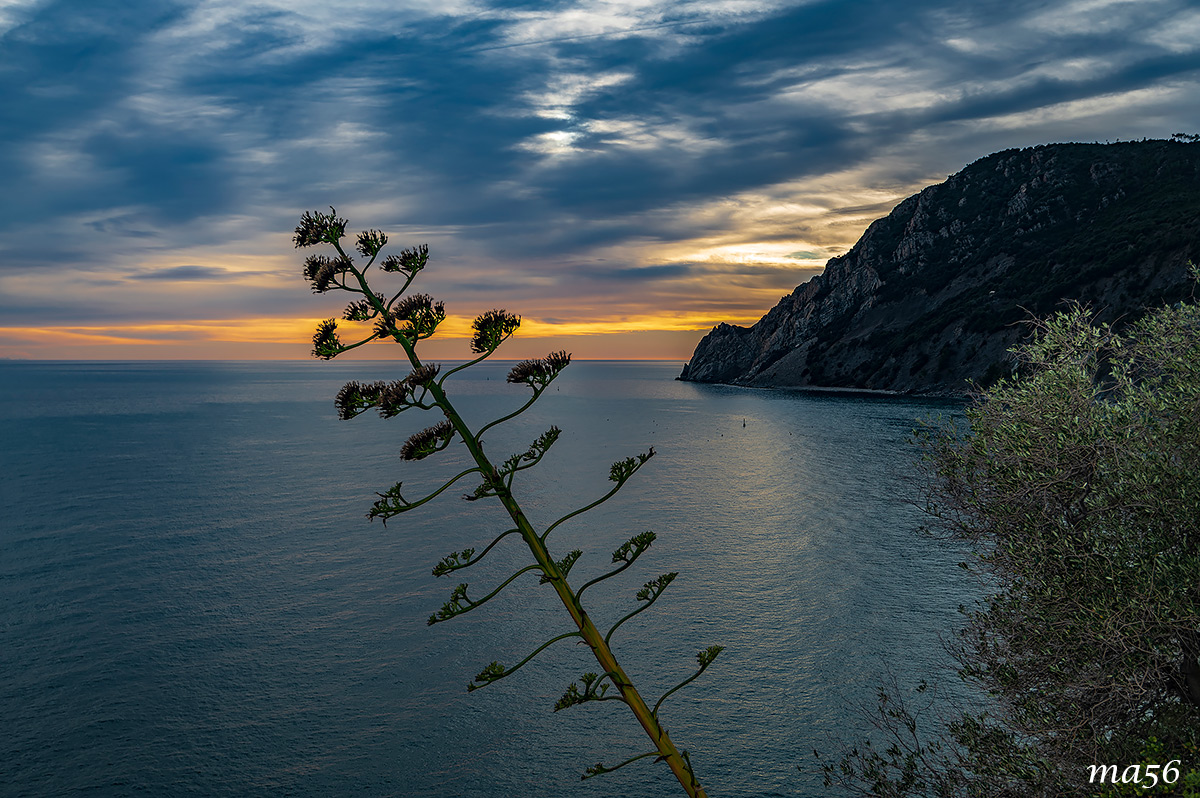 Monterosso al Mare-5 Terre...