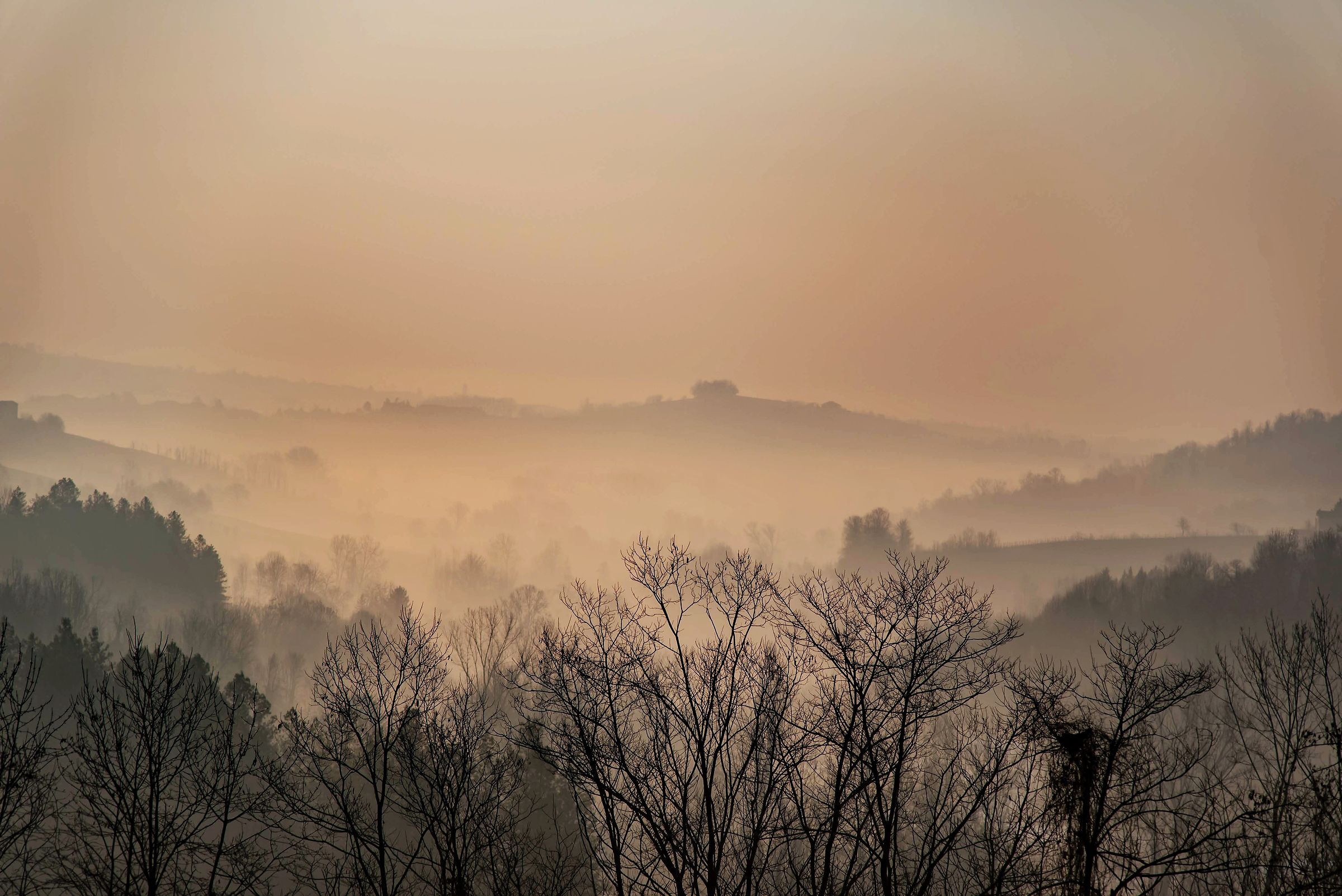 Morning. Fog in the Hills...