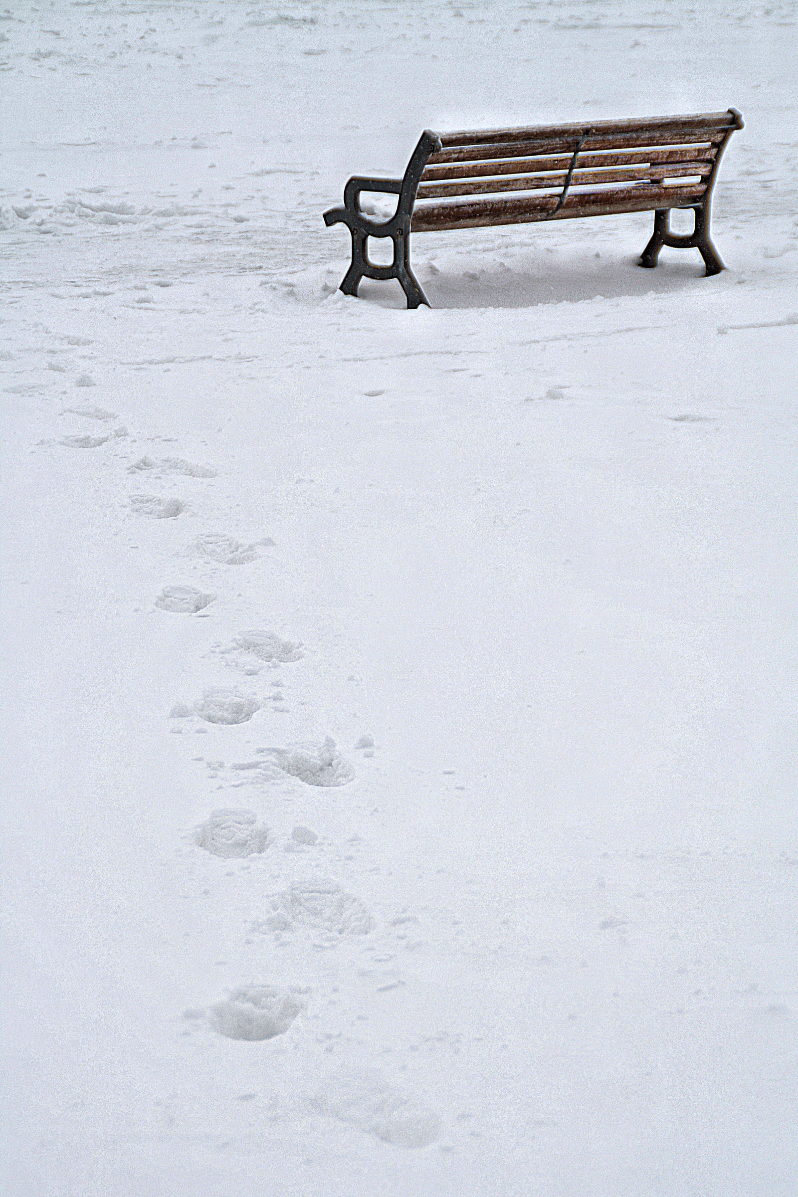 Footsteps in the snow...