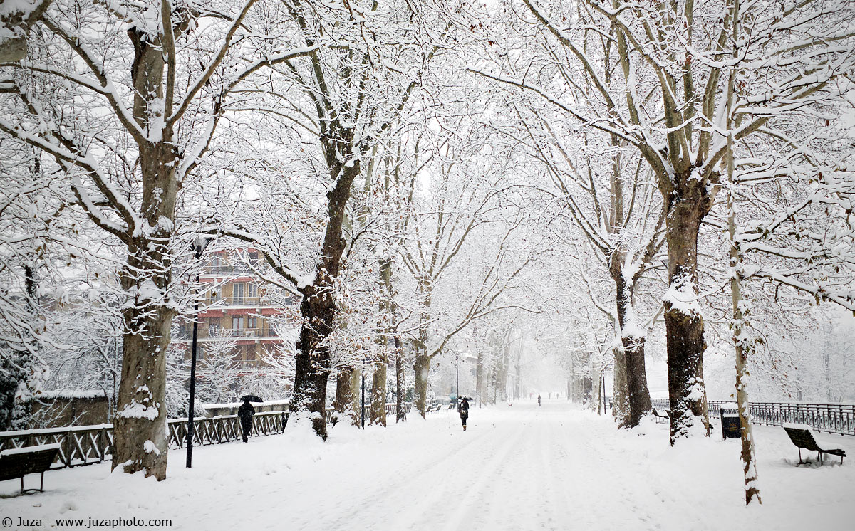 Piacenza sotto la neve, 016363...