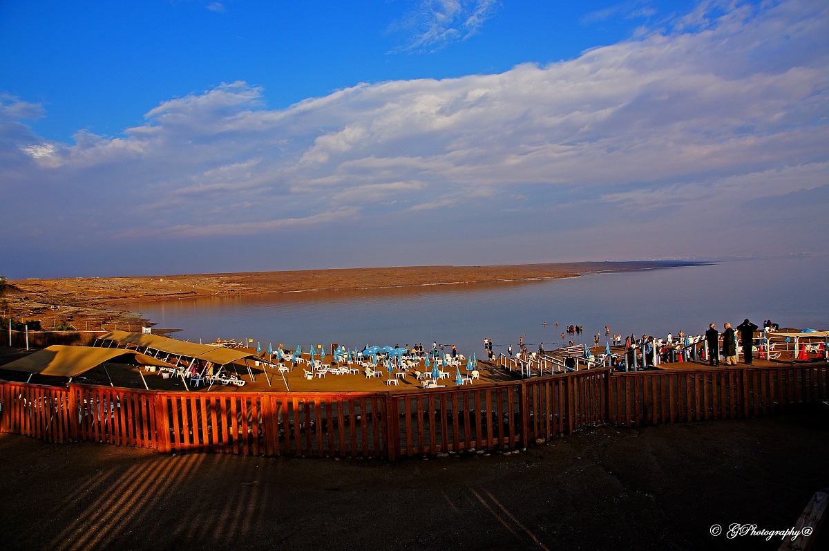 Life and colors of the Dead Sea...