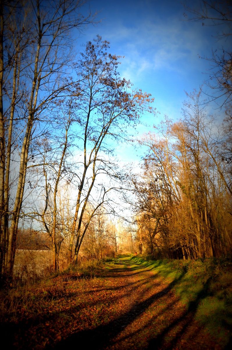 Colori d'autunno...