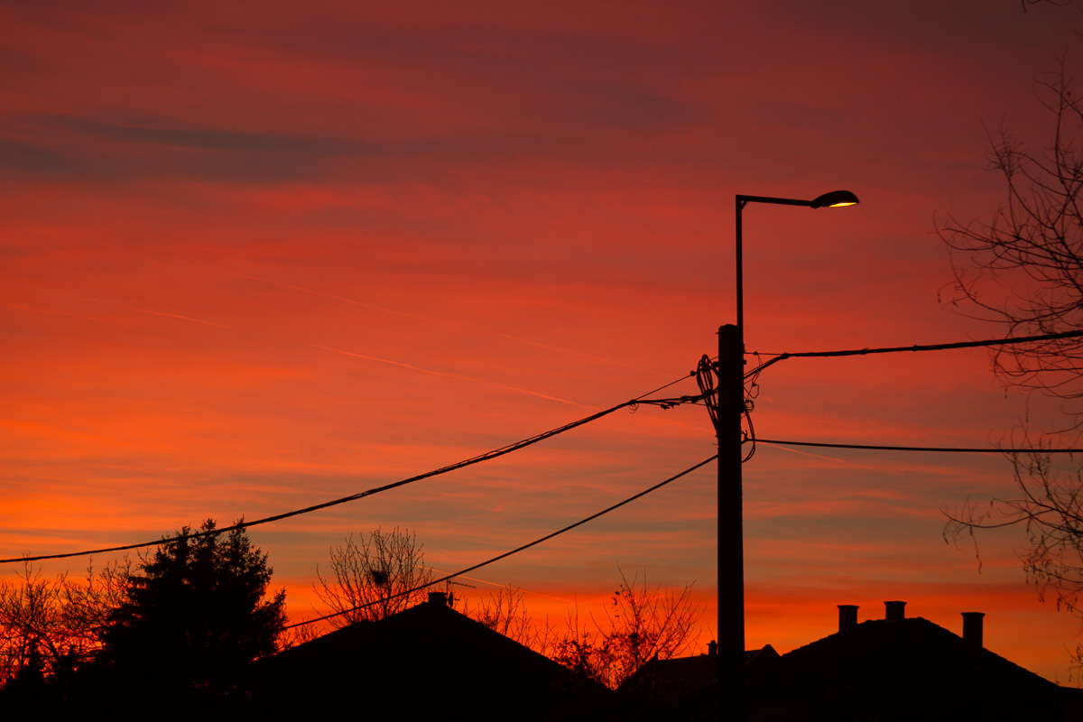 Just an evening shot...
