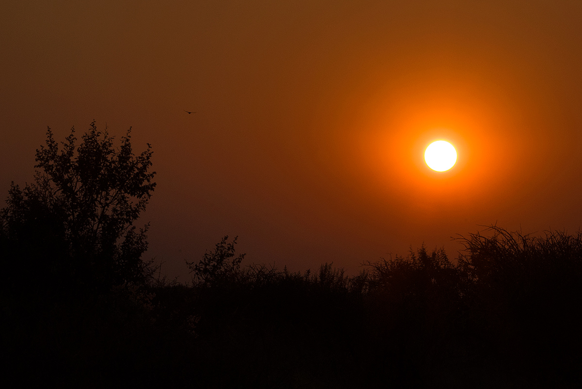 Namibian sunset...