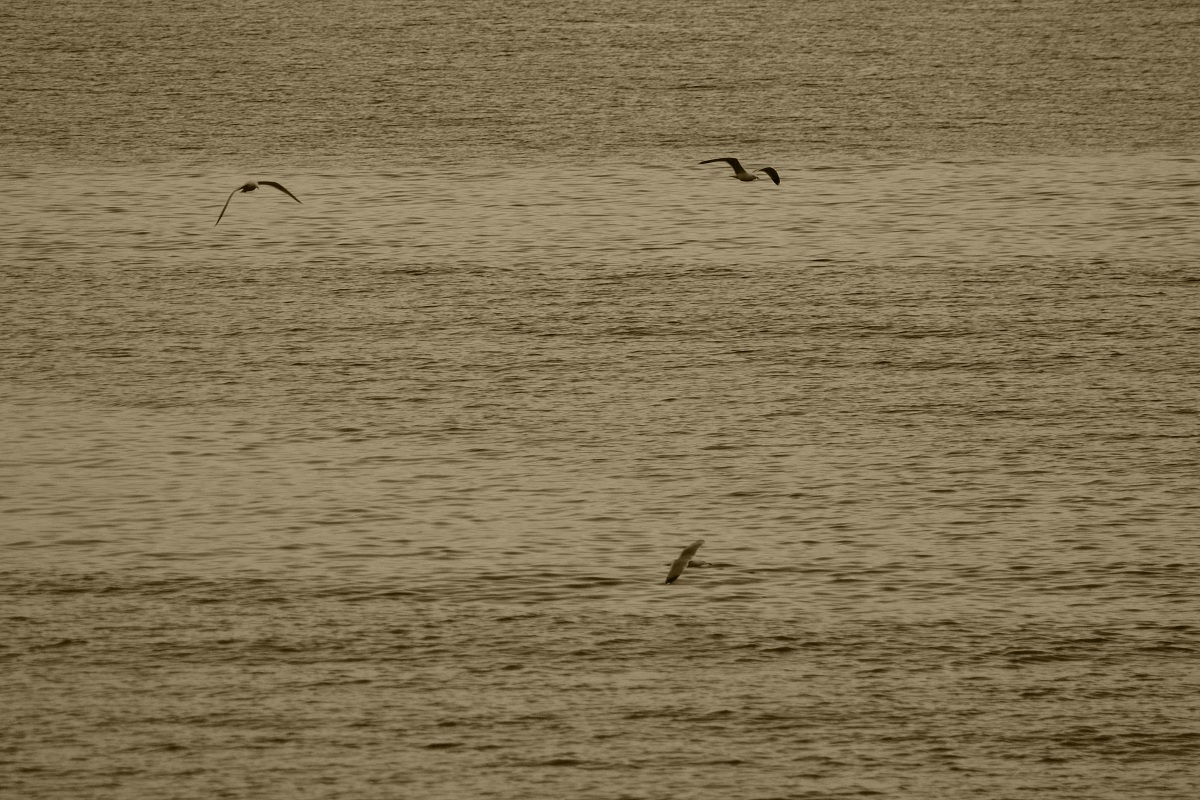 Untitled Photo...