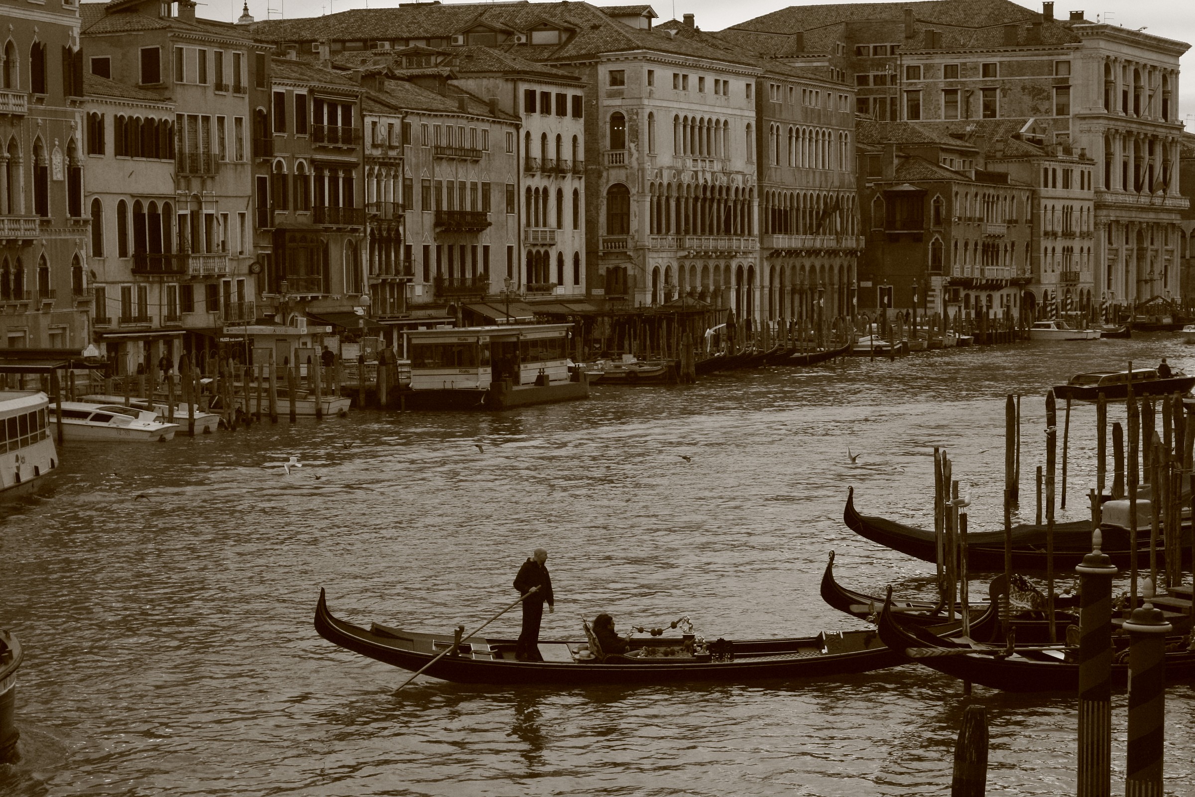 Venezia canal grande...