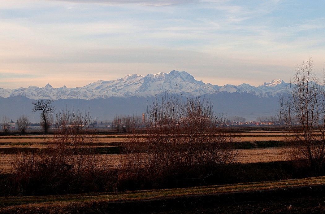 Vercelli rice fields with Monte Rosa...