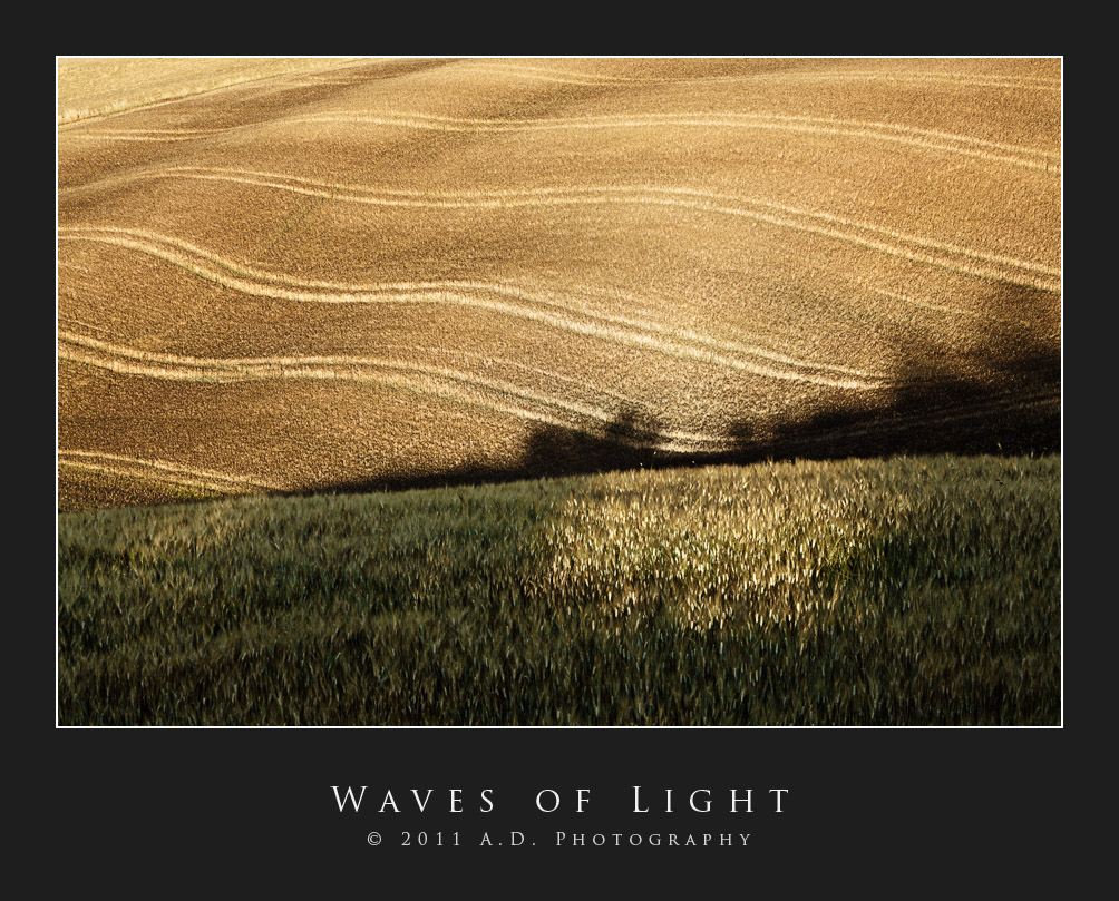 Waves of Light...