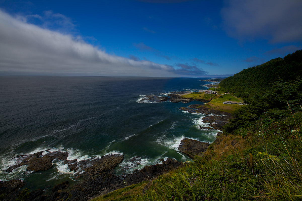 Driving along the Oregon Coast...