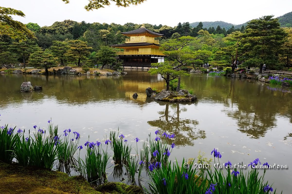 kyoto Golden Temple...