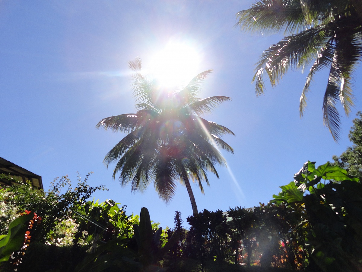 Giardino botanico...