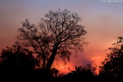 [Photo]