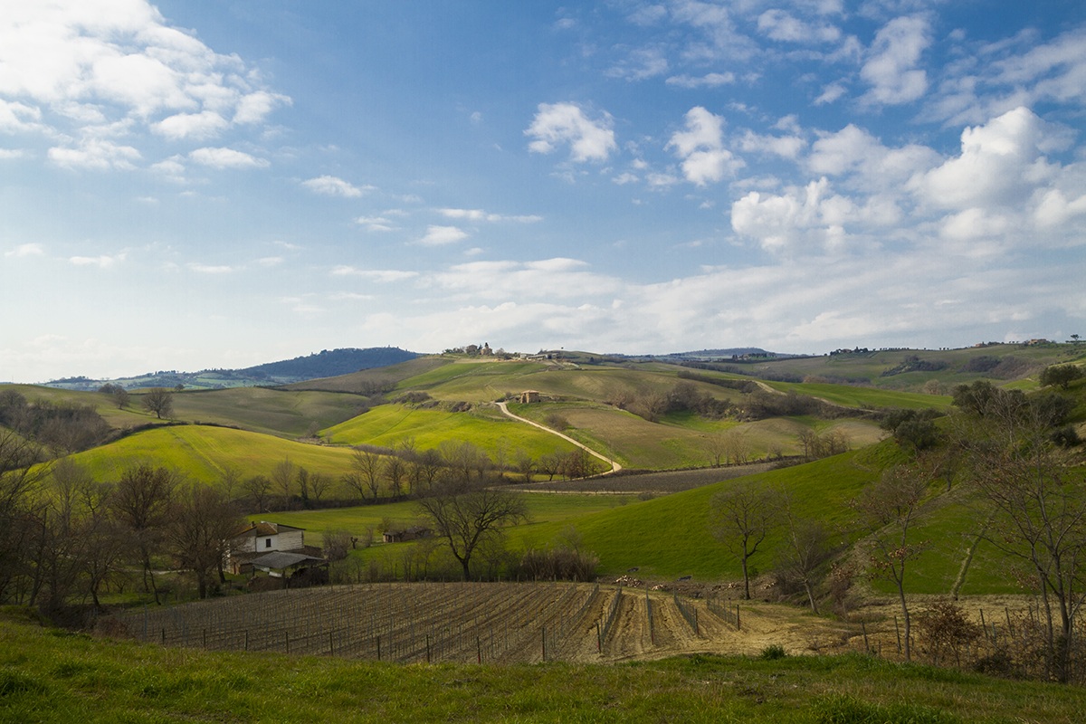 Tuscan Landscape...
