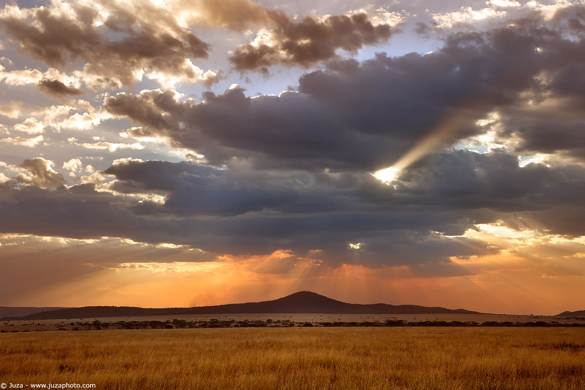 Sunset on the Serengeti, 008267...