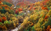 [Photo]