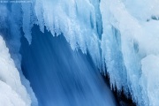 [Photo]