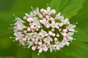 [Photo]