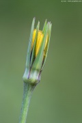 [Photo]