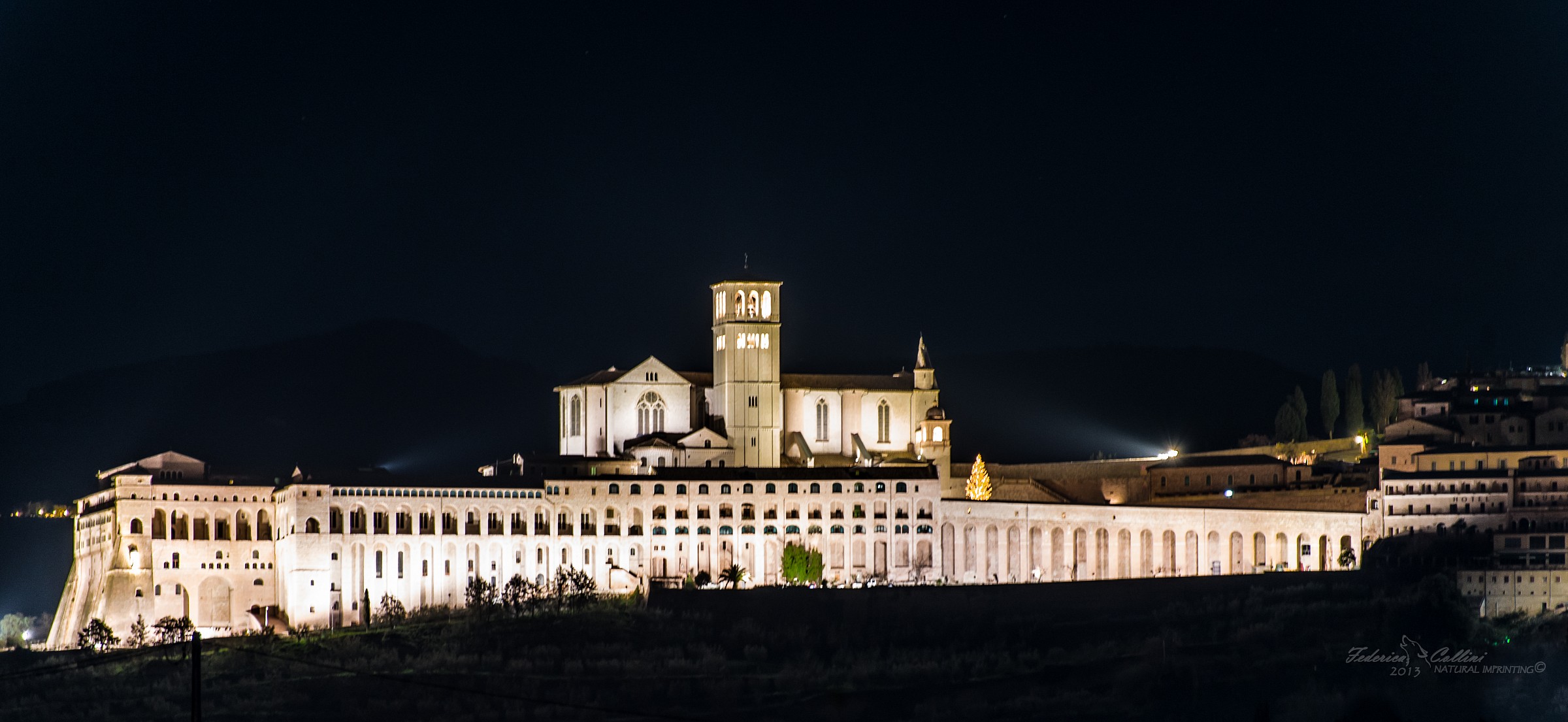 Basilica of St. Francis of Assisi _ Lateral SO...