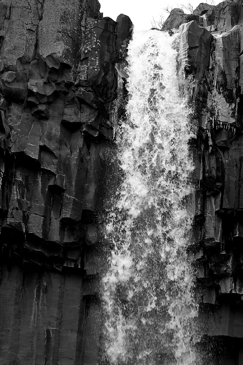 Foss B&W...