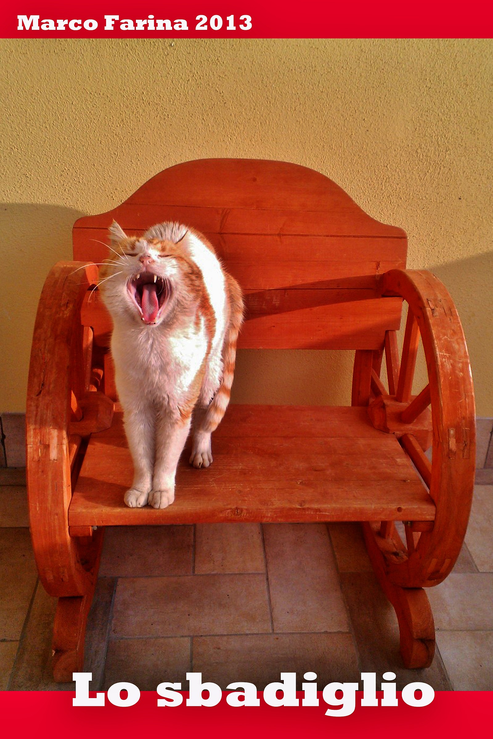 The yawn...