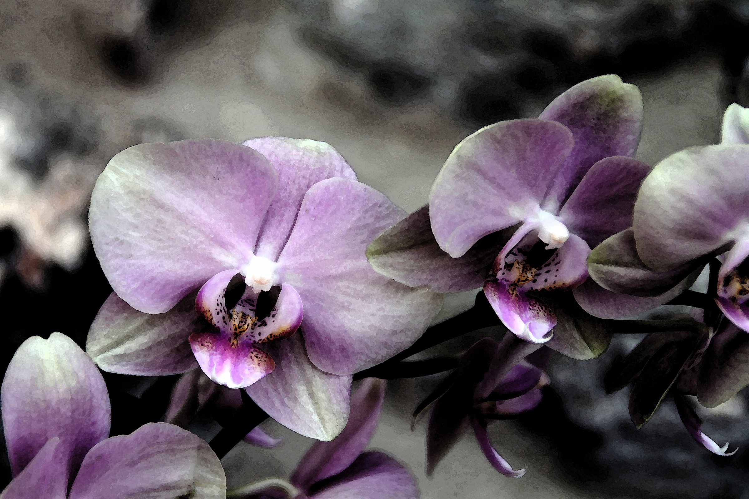 Orchids watercolor effect...