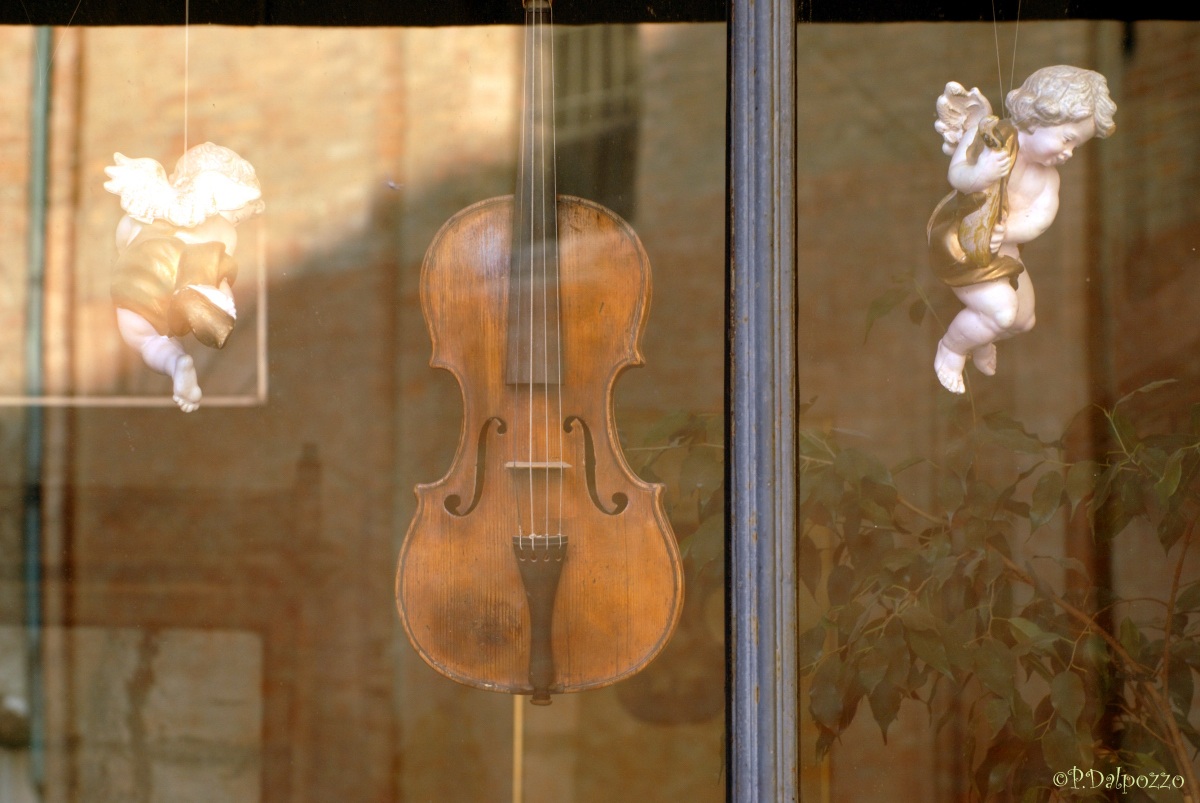 Cremona Violin =...