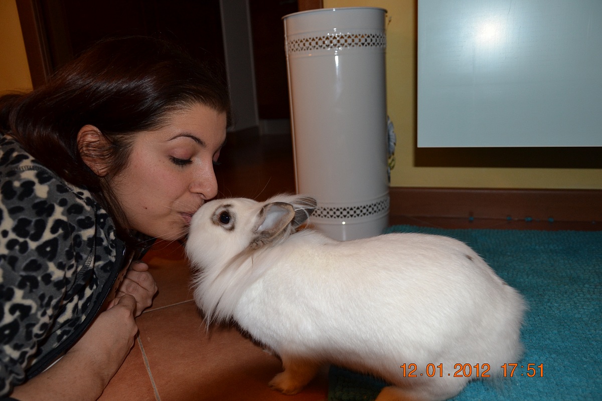 Amore incondizionato II...