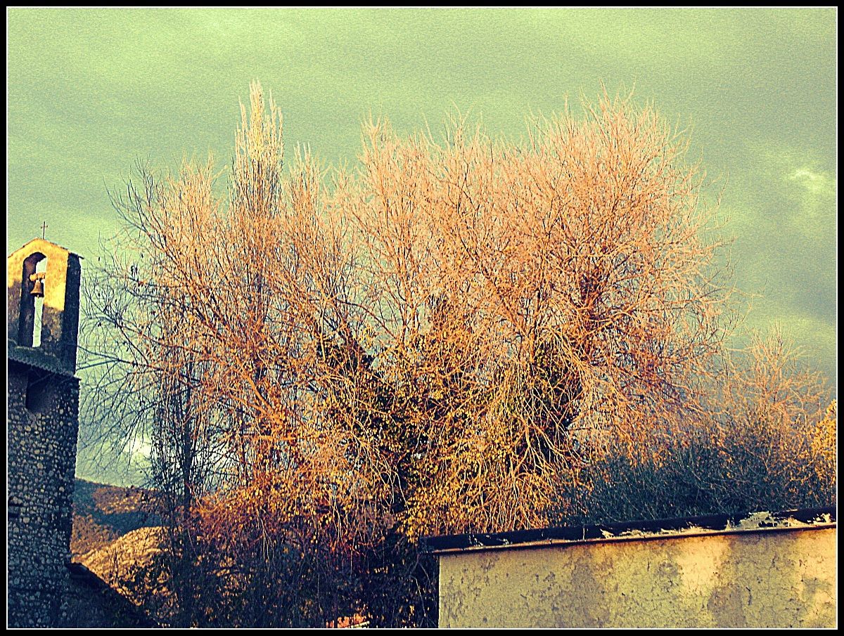 Tree...
