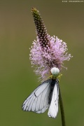 [Photo]