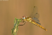 [Photo]