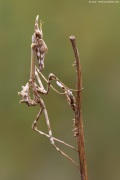 [Photo]